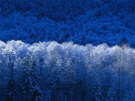 la foret de klingenthal